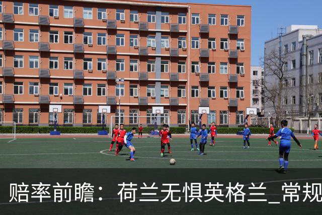 赔率前瞻：荷兰无惧英格兰 常规时间有望不败